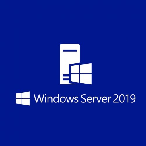 WINDOWS SERVER 2019 STANDARD LOGO-100